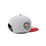Grey / Metallic Red Silver 1LoveIE Raincross New Era 9FIFTY Snapback