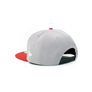 Grey / Metallic Red Silver 1LoveIE Raincross New Era 9FIFTY Snapback