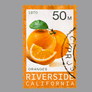 Riverside Stamp Shirt ( Grey)