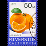 Riverside Stamp Shirt ( Black)