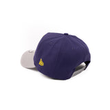 New Era 9Forty A Frame 1LoveIE Snapback (Grey Purple / Yellow)