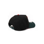 Limited New Era 9Forty A Frame 1LoveIE Snapback (Black/ Metallic Red / Forest Green)
