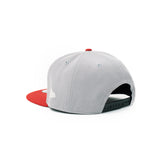 Grey / Metallic Red Silver  1LoveIE Raincross New Era 9FIFTY Snapback