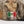 Limited Real Tree Camo / Gold Mexico Flag 1LoveIE New Era 59FIFTY Fitted Cap