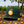 Forest Green 1LoveIE Redlands Orange New Era 9FIFTY Snapback Cap