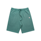 1LoveIE Shorts ( Teal )