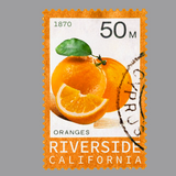 Riverside Stamp Shirt ( Grey)