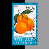 Redlands Stamp Shirt (Grey)