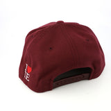 1LoveIE Snapback ( Burgundy /Gold)