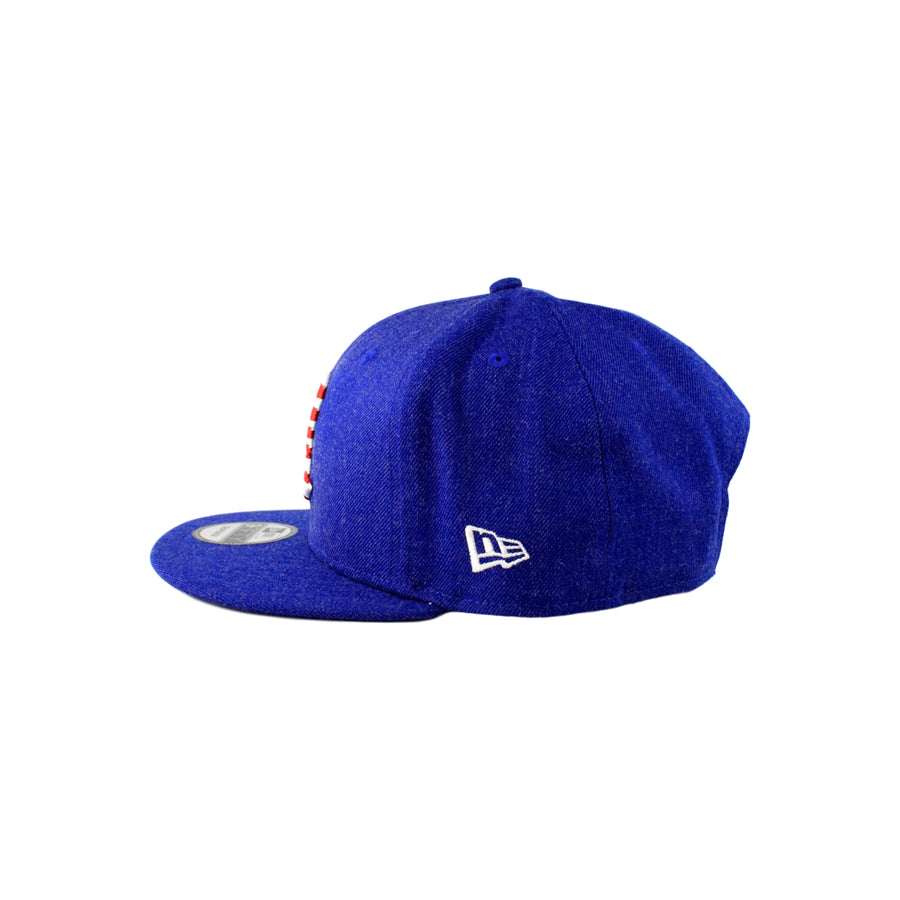 Limited 1LoveIE "Americana" New Era 9Fifty Snapback Hat