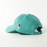 1LoveIE Signature Dad Hat (Teal / White )