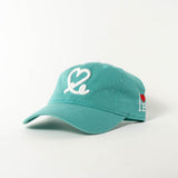 1LoveIE Signature Dad Hat (Teal / White )